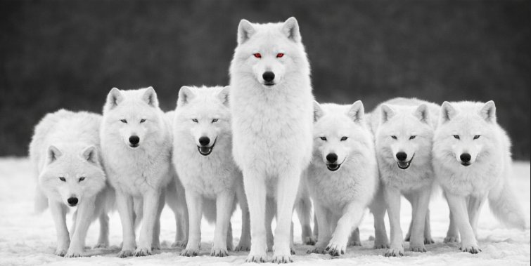 Bill C-9 as per ChatGPT